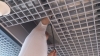 Установка 3-х диапазонного GSM/3G-репитера PicoCell 900/1800/2000 SXA